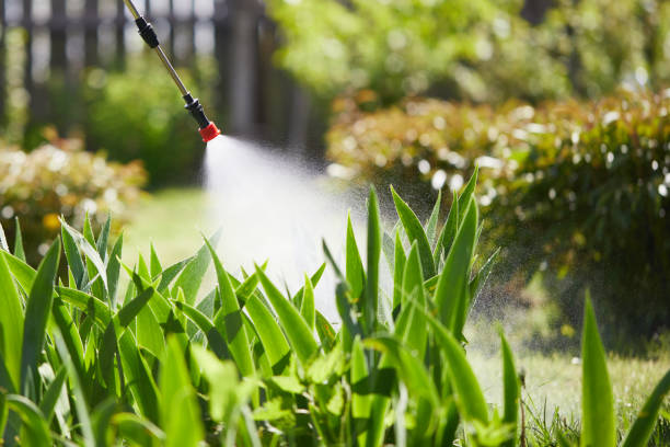 Tamper-Resistant Bait Stations for Rodents in Del Aire